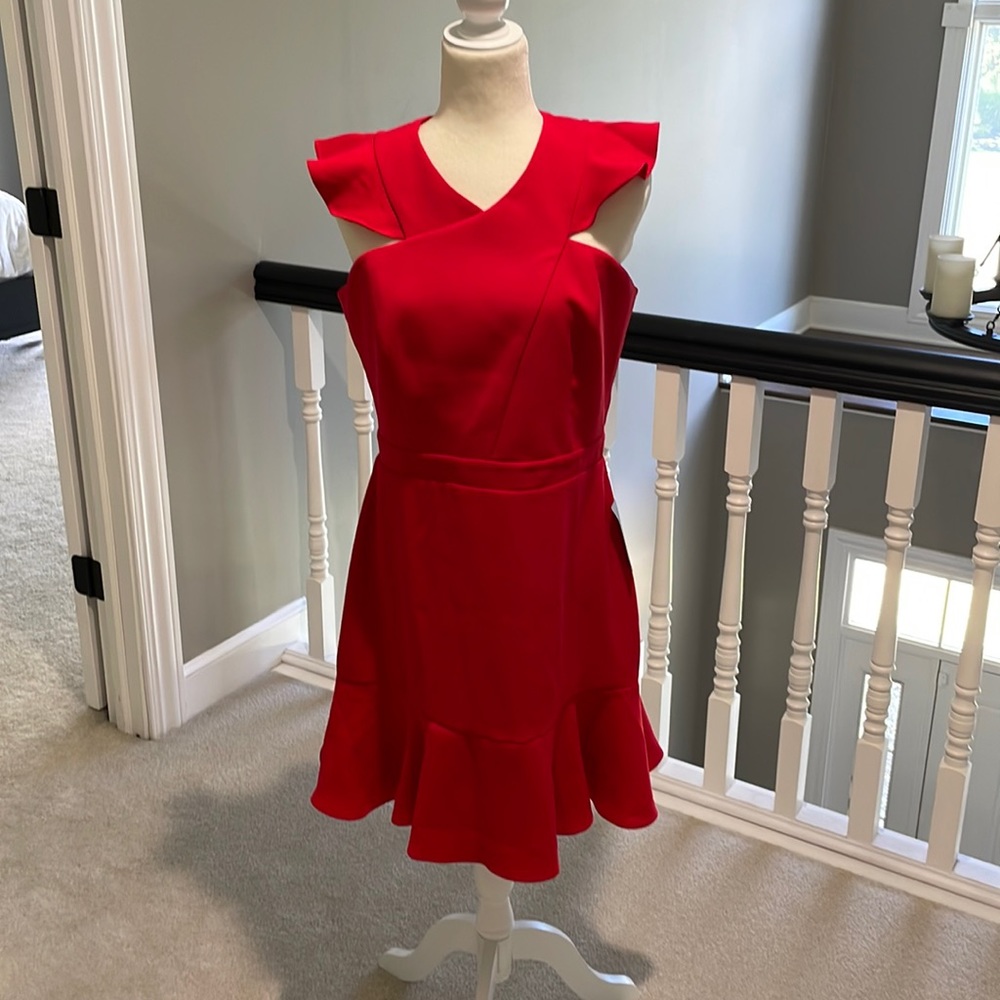 NWT Chelsea 28 dress